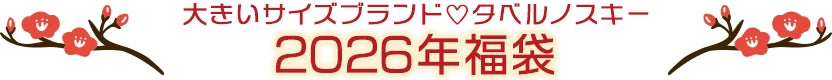 大きいサイズレディースの福袋一覧