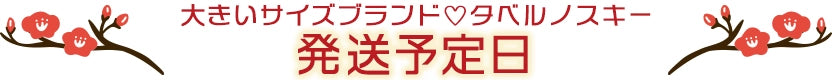 大きいサイズレディース福袋の発送日
