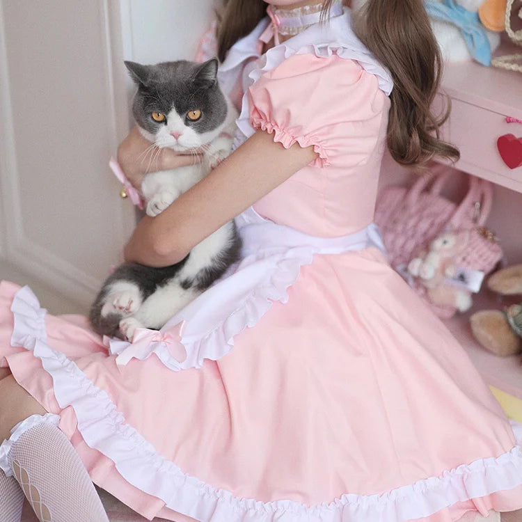 大きいサイズレディースコットンキャンディメイド服ワンピ―ス (M/L/2L/3L/4L/5L/6L)/コスプレ/ハロウィン (M/L/2L/3L/4L/5L/16L)/コスプレ/ハロウィン/クリスマス