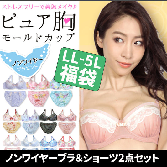 ≪2点セット福袋≫ノンワイヤーブラジャー＆ショーツセット(LL/3L/4L/5L)