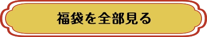 大きいサイズレディースの福袋を全部見る