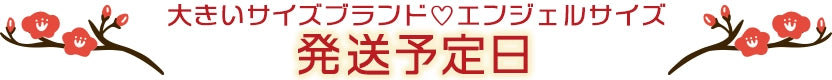 大きいサイズレディース福袋の発送日