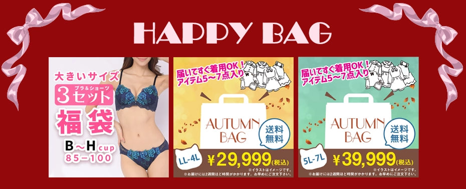 大きいサイズの下着特集