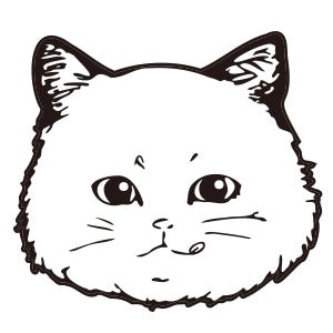 大きいサイズレディースタベルノスキー