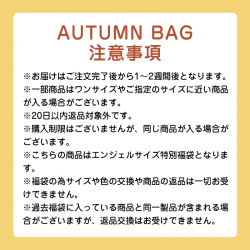 大きいサイズ レディース 大きいサイズの福袋 大きいサイズのセットアップが入った秋福袋 s3