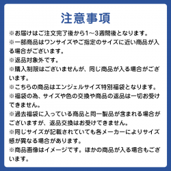 大きいサイズ レディース 【19800円】大きいサイズの福袋 送料無料 大きいサイズのアウターが入ったエンジェルサイズ特別新春福袋2025 s3